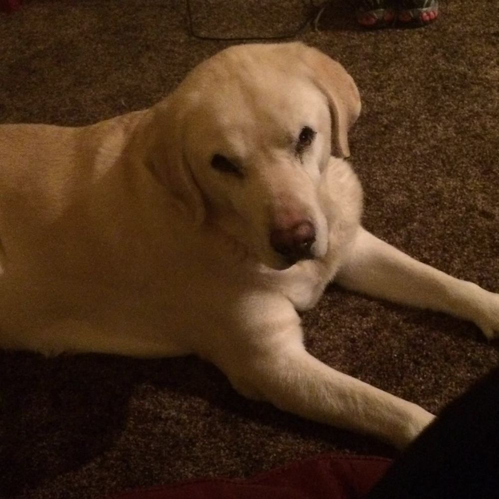 Meet your Posher, Barbara